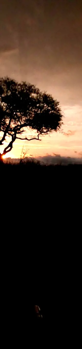 Coucher de soleil mystique